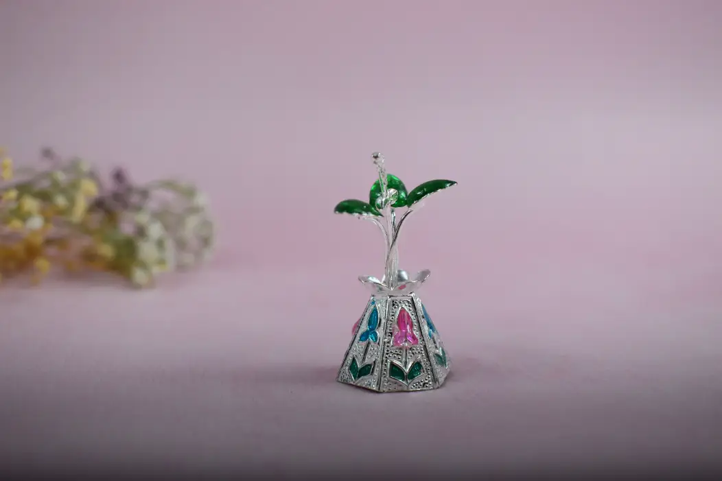 Silver Miniature Tulsi Plant
