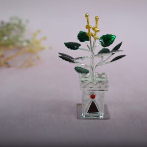 Silver Tulsi Vratika Plant